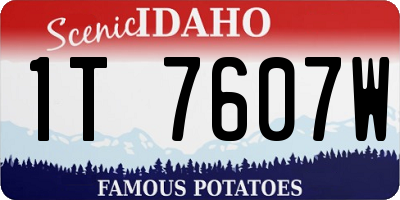 ID license plate 1T7607W