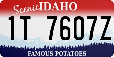ID license plate 1T7607Z