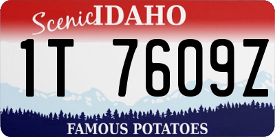 ID license plate 1T7609Z