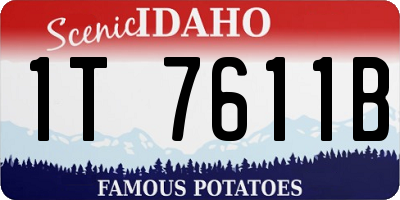 ID license plate 1T7611B