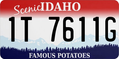 ID license plate 1T7611G