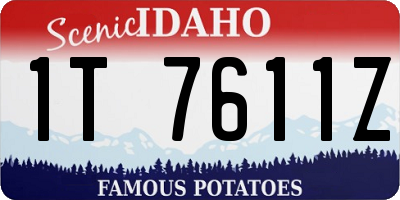 ID license plate 1T7611Z