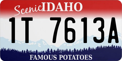 ID license plate 1T7613A