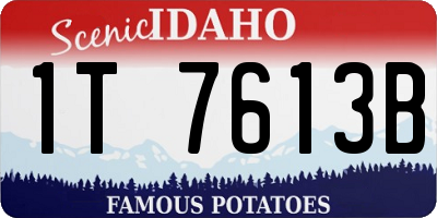ID license plate 1T7613B