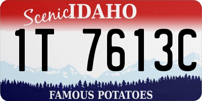 ID license plate 1T7613C