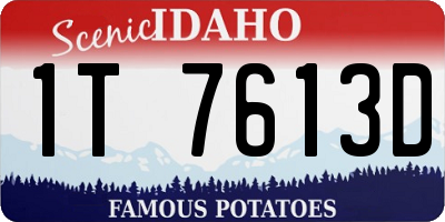 ID license plate 1T7613D