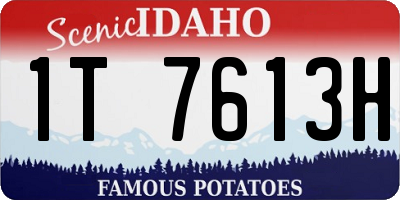 ID license plate 1T7613H