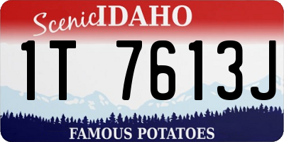 ID license plate 1T7613J