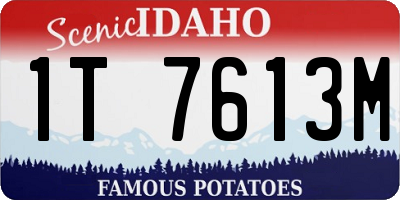 ID license plate 1T7613M