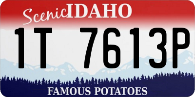 ID license plate 1T7613P