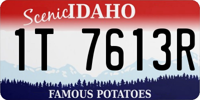 ID license plate 1T7613R
