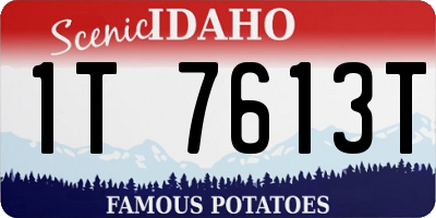 ID license plate 1T7613T