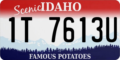 ID license plate 1T7613U