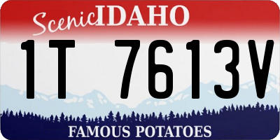 ID license plate 1T7613V