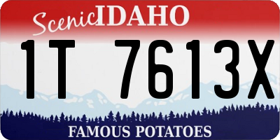 ID license plate 1T7613X