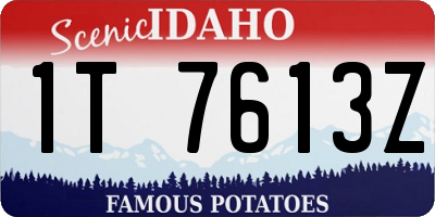 ID license plate 1T7613Z