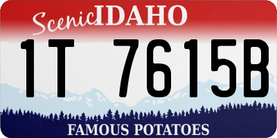 ID license plate 1T7615B