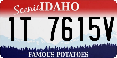 ID license plate 1T7615V