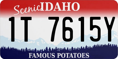 ID license plate 1T7615Y