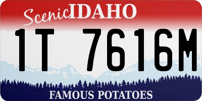 ID license plate 1T7616M