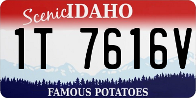 ID license plate 1T7616V