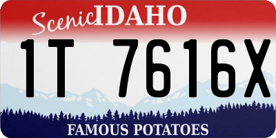 ID license plate 1T7616X