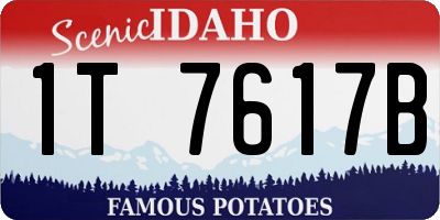 ID license plate 1T7617B