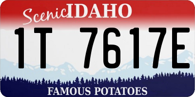 ID license plate 1T7617E