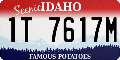 ID license plate 1T7617M