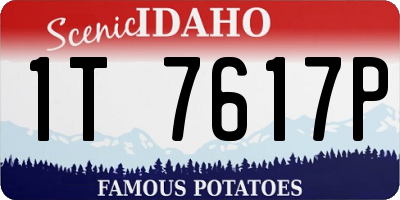 ID license plate 1T7617P