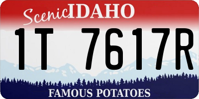 ID license plate 1T7617R