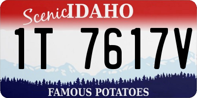 ID license plate 1T7617V