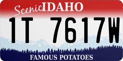 ID license plate 1T7617W