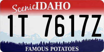 ID license plate 1T7617Z