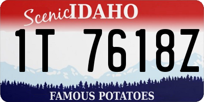 ID license plate 1T7618Z
