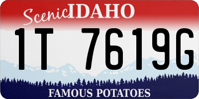 ID license plate 1T7619G
