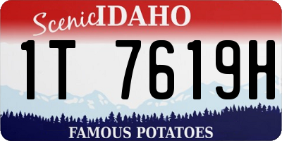 ID license plate 1T7619H
