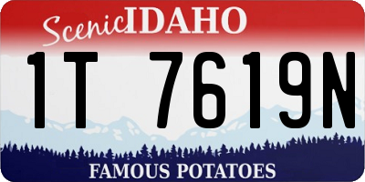 ID license plate 1T7619N