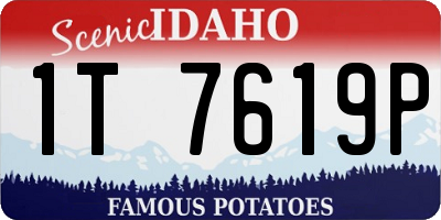 ID license plate 1T7619P