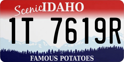 ID license plate 1T7619R