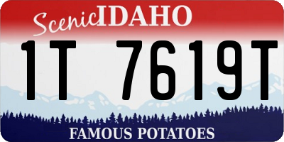 ID license plate 1T7619T
