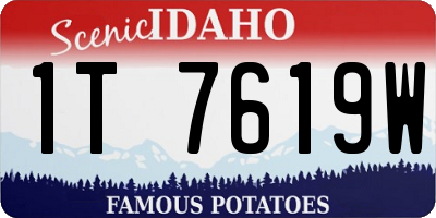 ID license plate 1T7619W
