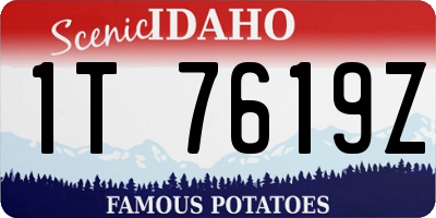 ID license plate 1T7619Z