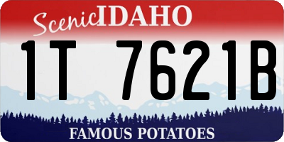 ID license plate 1T7621B