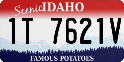 ID license plate 1T7621V