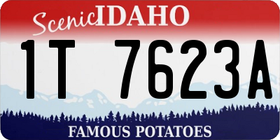 ID license plate 1T7623A