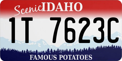 ID license plate 1T7623C