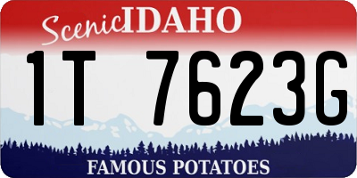 ID license plate 1T7623G