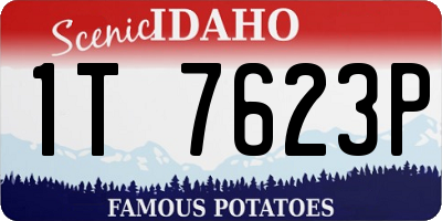 ID license plate 1T7623P