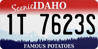 ID license plate 1T7623S